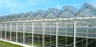 27c65c7f02cd47da8d5900fd60b984be 27c65c7f02cd47da8d5900fd60b984be