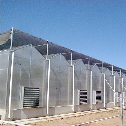 4mm Greenhouse PC Sheeting