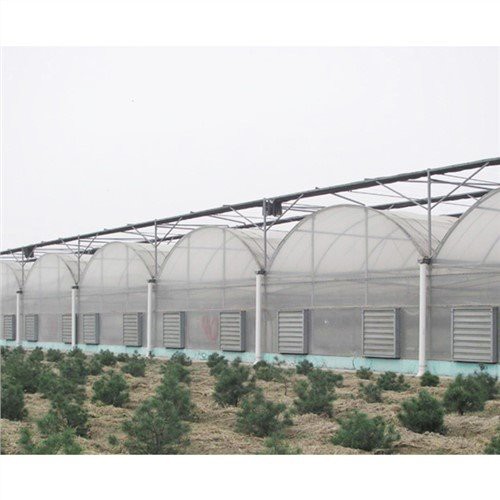 50 X 100 Greenhouse Plastic