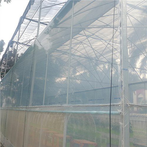 6 Mil Clear Plastic Sheeting for Greenhouse