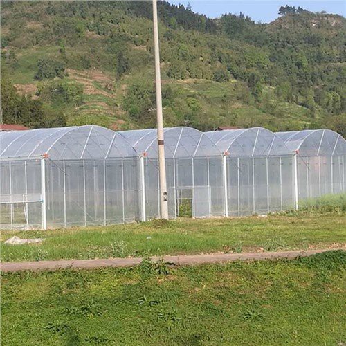 6 Mil Greenhouse Plastic Home Depot