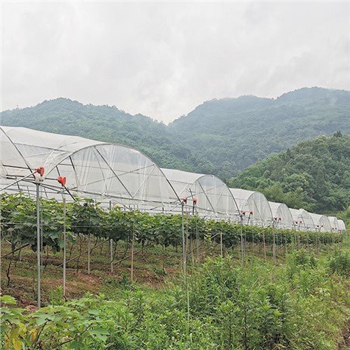 6ml Greenhouse Plastic