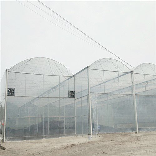Greenhouse Plastic Home Depot