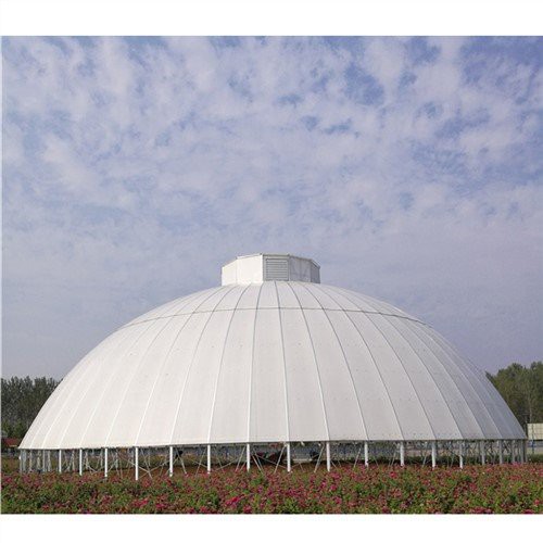 Large Geodesic Dome Greenhouse