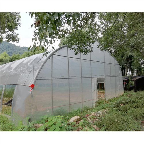 Mini Greenhouse for Indoor Plants