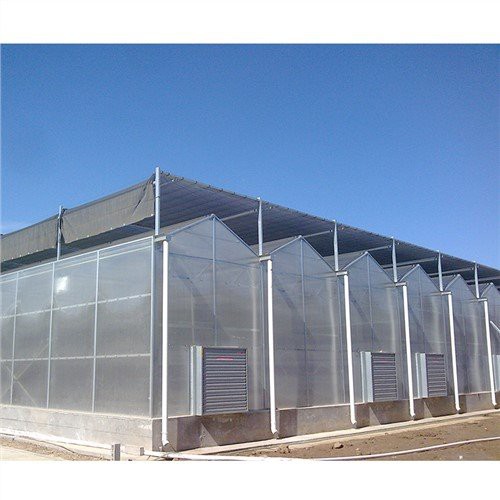 PVC Greenhouse Clips