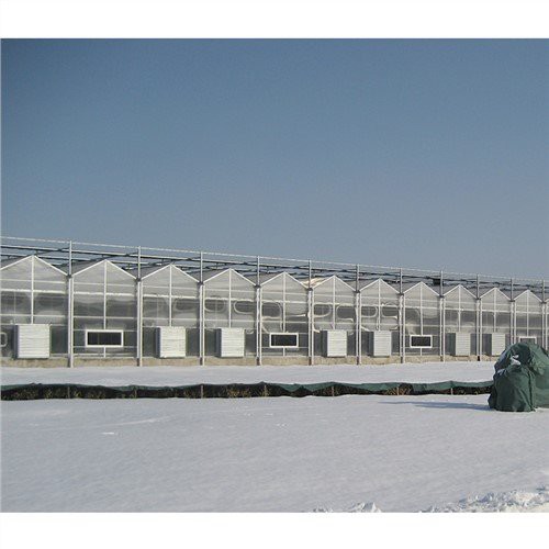 Small Greenhouse Garden