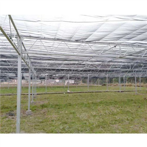 Small Polythene Greenhouse