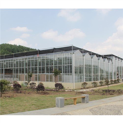 Venlo PC Sheet Greenhouse