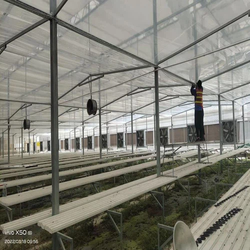 Thermal Insulation Film